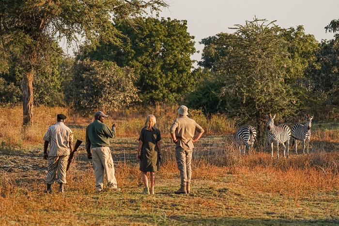 South Luangwa National Park